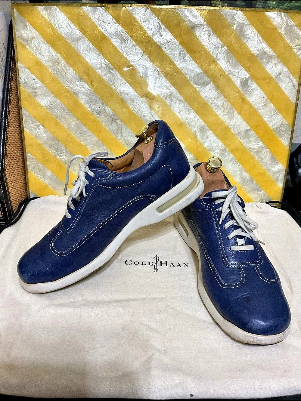 Cole Haan men’s shoes Blue Leather Sneakers